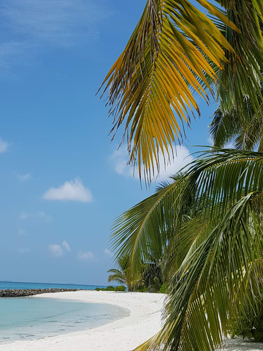 Strand Summer Island Maldives