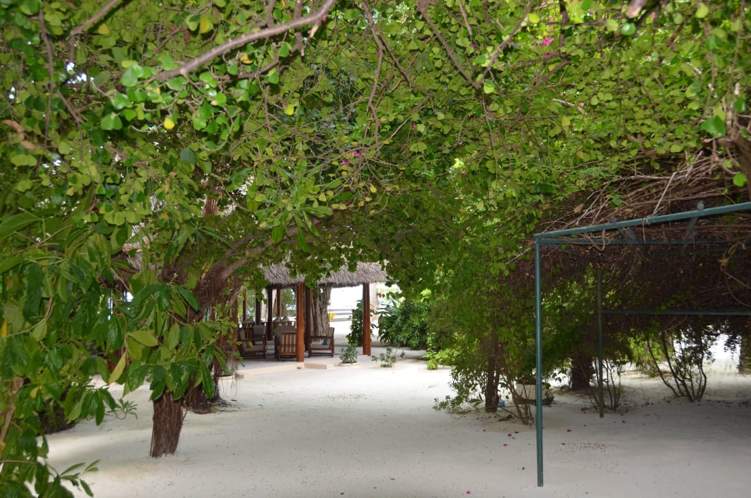 Weg zur Bar Summer Island Maldives
