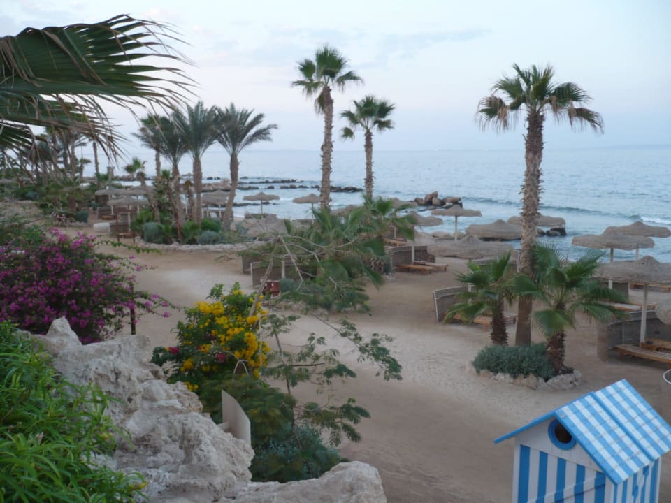 Вид на пляж Pickalbatros Citadel Resort