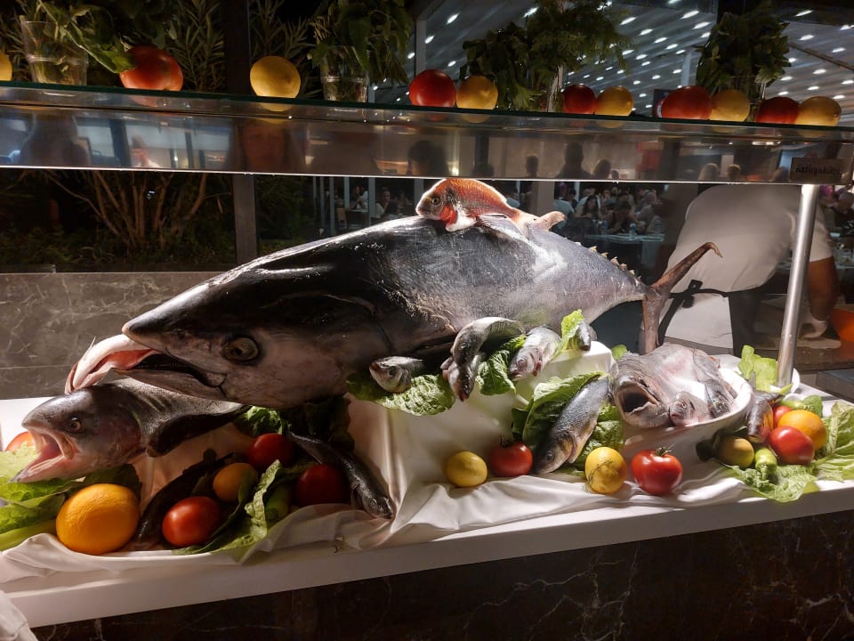 Gastro Monachus Family Resort Sorgun