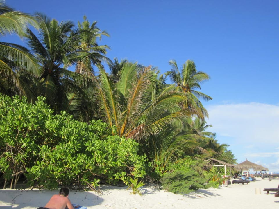 Strand Ellaidhoo Maldives by Cinnamon