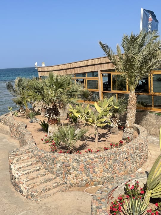 Gartenanlage Desert Rose