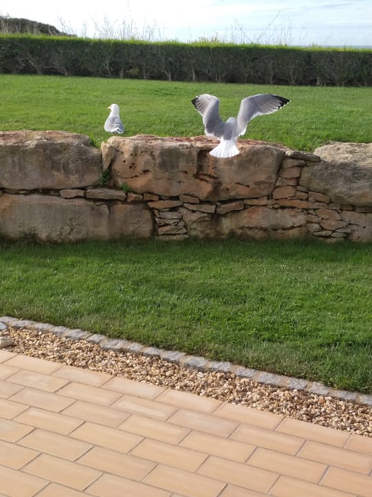 Ausblick Hotel Clube Porto Mos