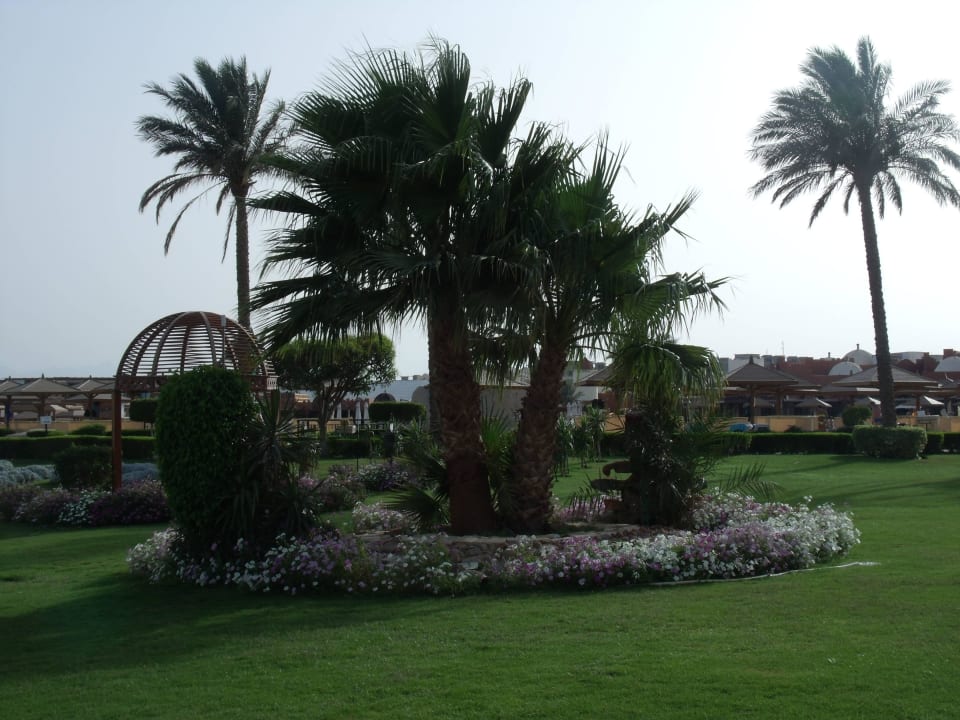 Schöner Garten SUNRISE Royal Makadi Resort