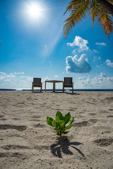 Gastro Veligandu Maldives Resort Island