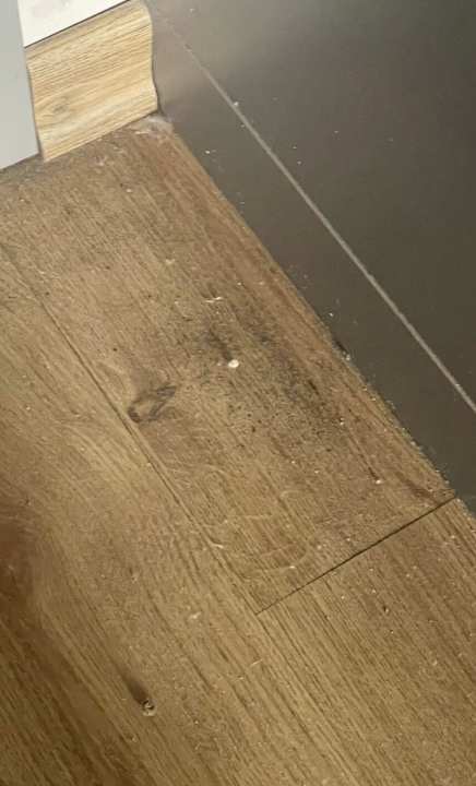 Zimmer Palm World Side Resort & Spa