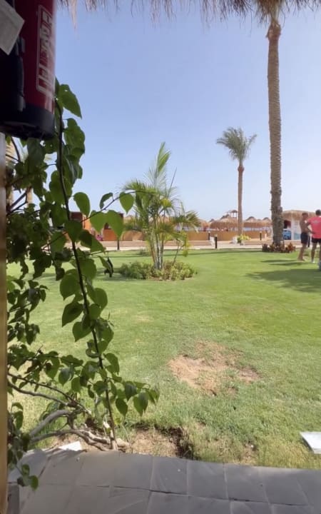 Gartenanlage SUNRISE Remal Beach Resort