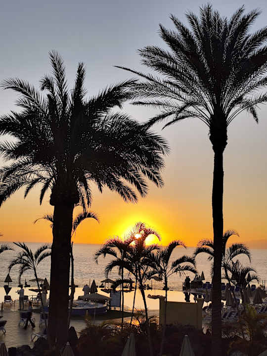 Gartenanlage Bahia Principe Sunlight Costa Adeje