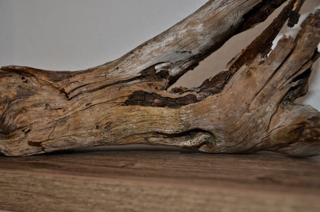 Sonstiges Landhaus Waldhart