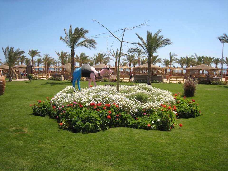 Jardins Pickalbatros Palace Resort