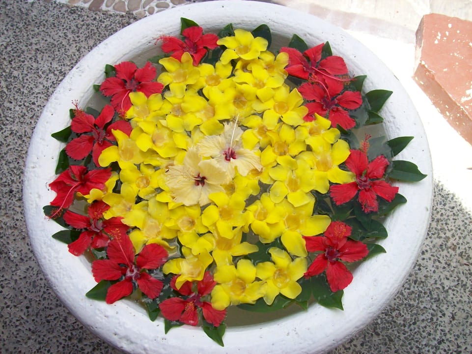 Deko im Außenbereich vor Spa Le Meridien Ile Maurice