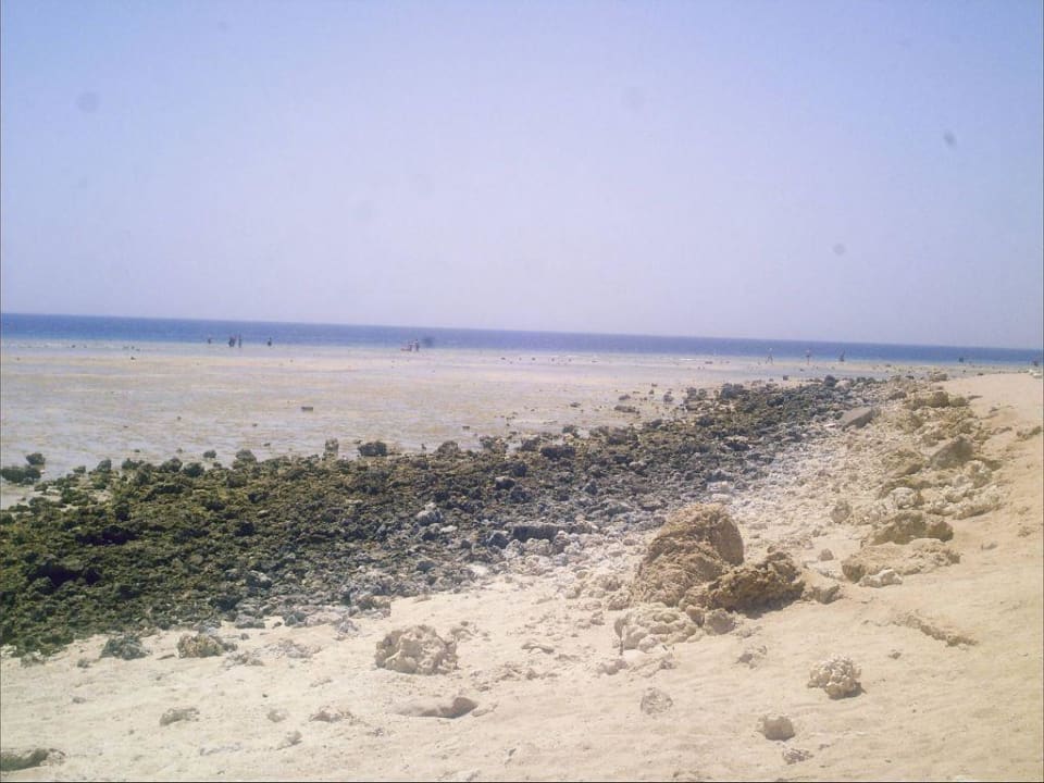 Der Strand bei Ebbe Grand Makadi