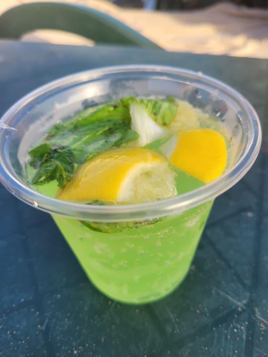 Gastro Well Palace Side