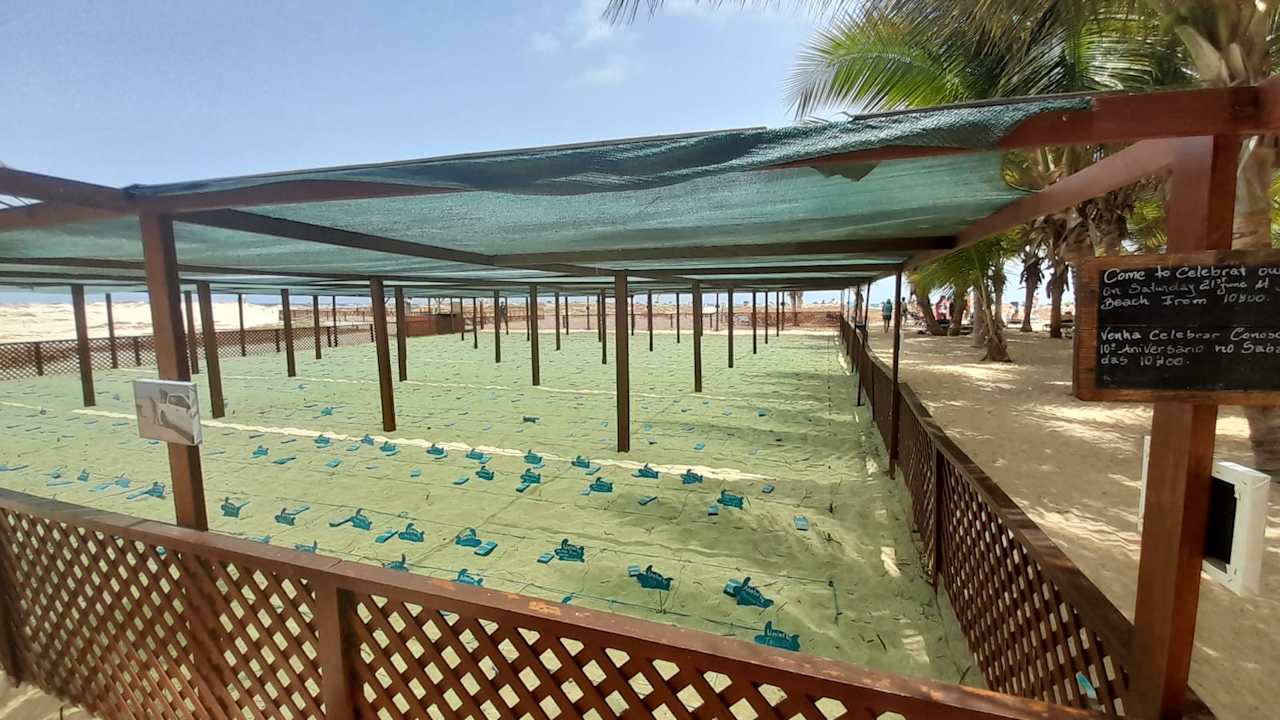 Strand Hotel Riu Cabo Verde