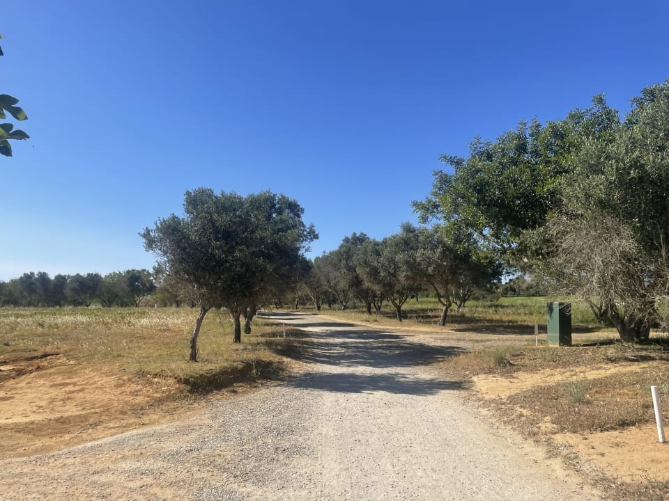 Gartenanlage ROBINSON QUINTA DA RIA