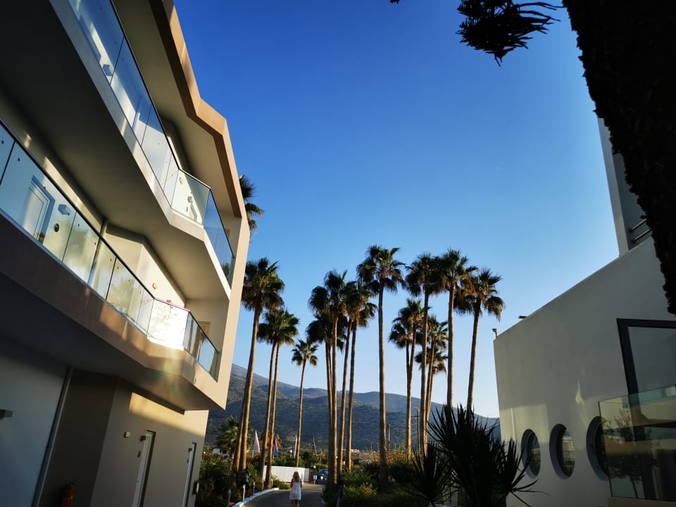 Sonstiges allsun Hotel Carolina Mare