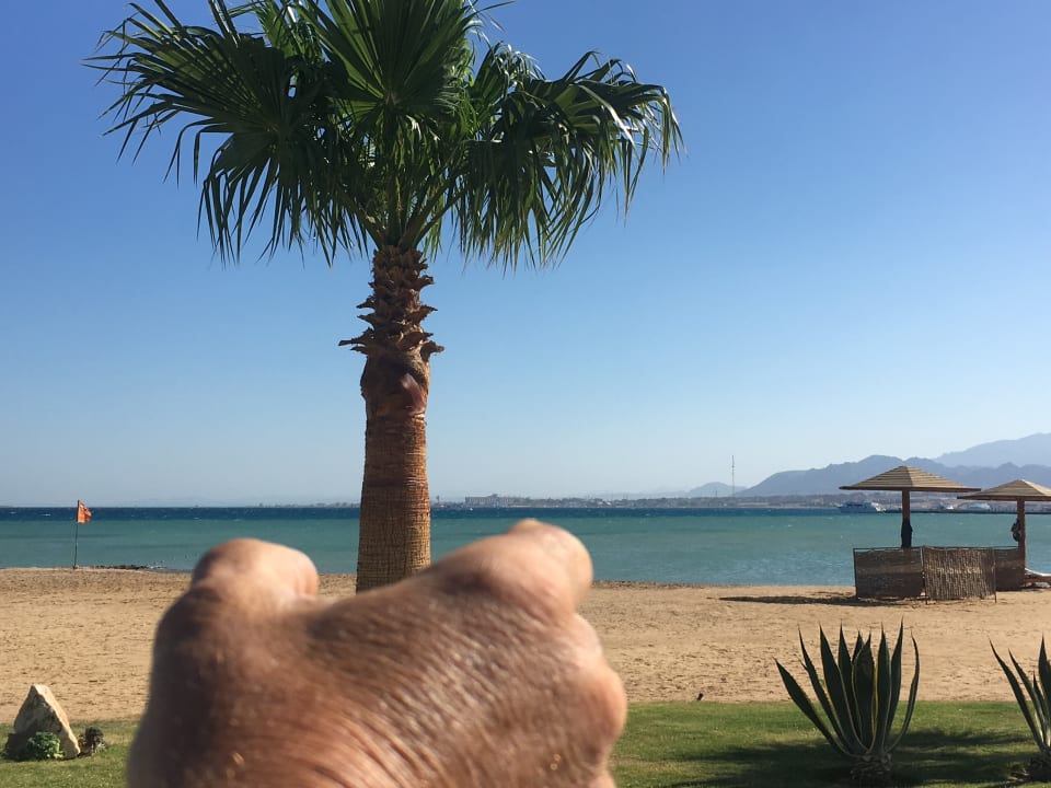 Gartenanlage Shams Prestige Abu Soma-Adults Only