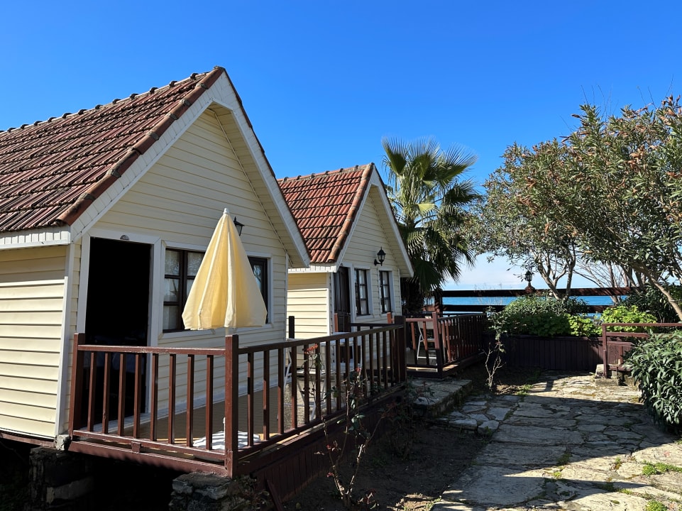 Zimmer Clover Magic Nova Beach