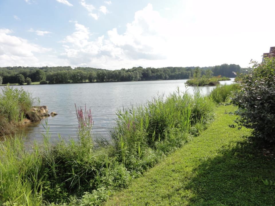 Aussicht vom Haus 627 Center Parcs Le Lac d'Ailette