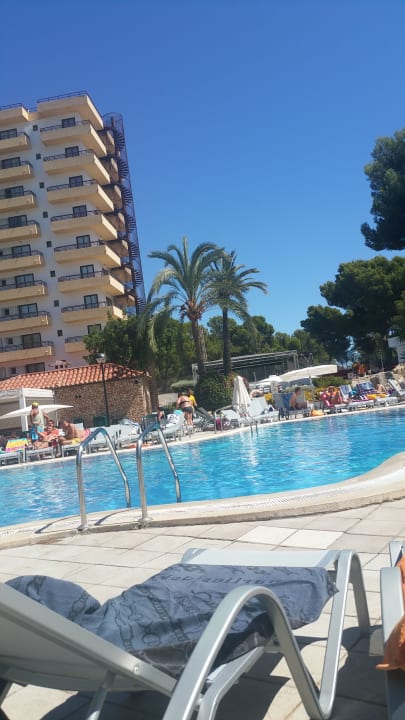 Pool BQ Belvedere Hotel