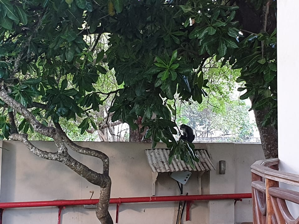 Gartenanlage Neptune Paradise Beach Resort & Spa