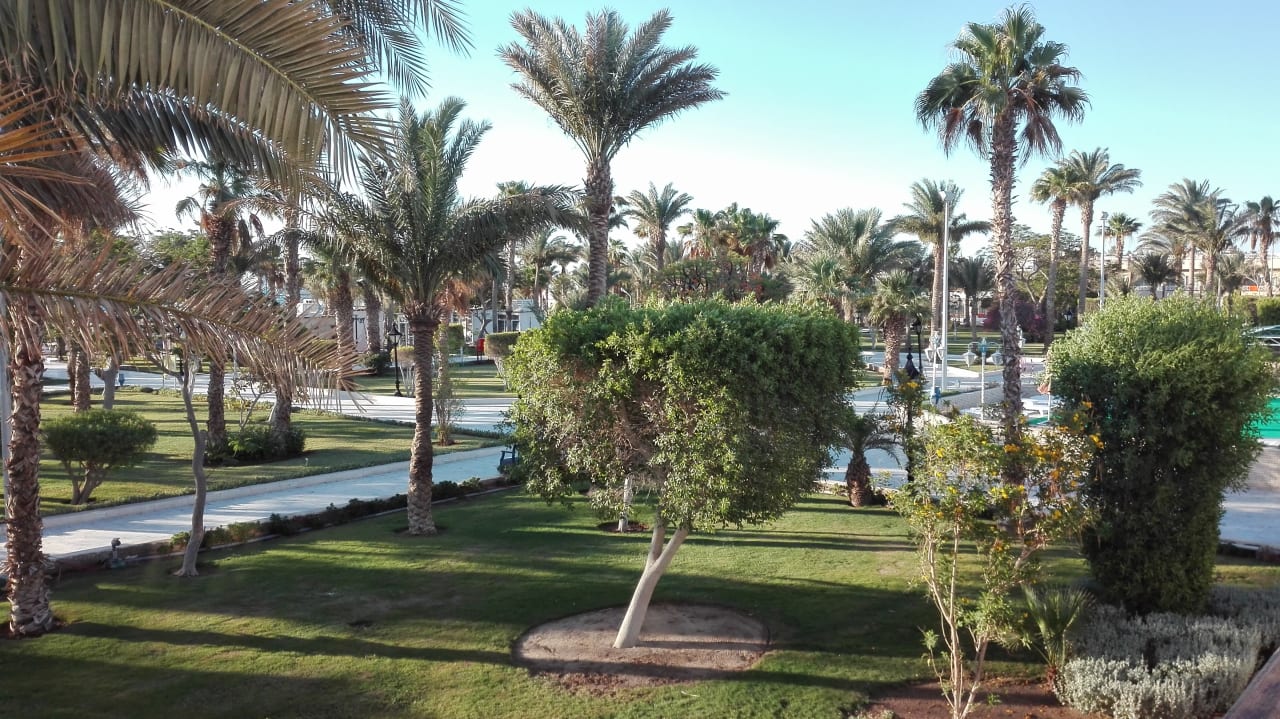 Garten The Grand Hotel Hurghada