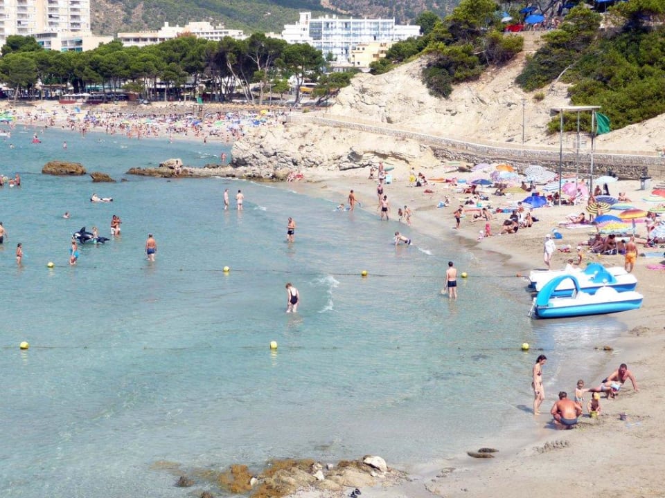 Kleiner verträumter Strand allsun Hotel Bella Paguera