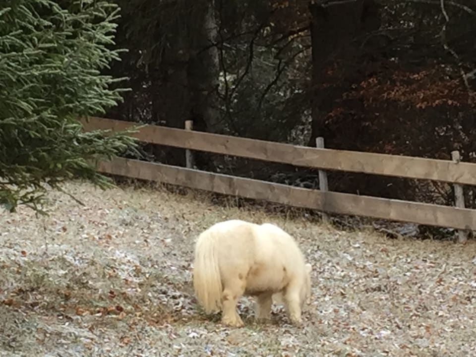 Sonstiges Oberjoch - Familux Resort