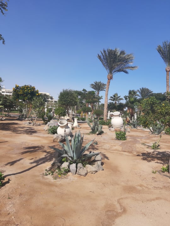 Gartenanlage Steigenberger Aqua Magic