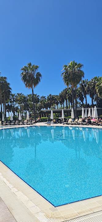 Pool Royal Atlantis Beach Hotel