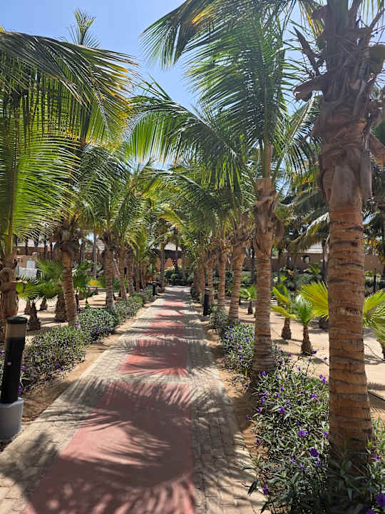 Sonstiges Hotel Riu Funana