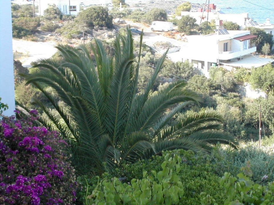 Gartenanlage am Hotel Ilianthos Park