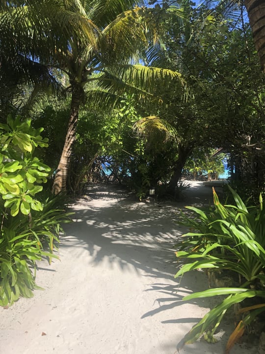Gartenanlage ROBINSON MALDIVES