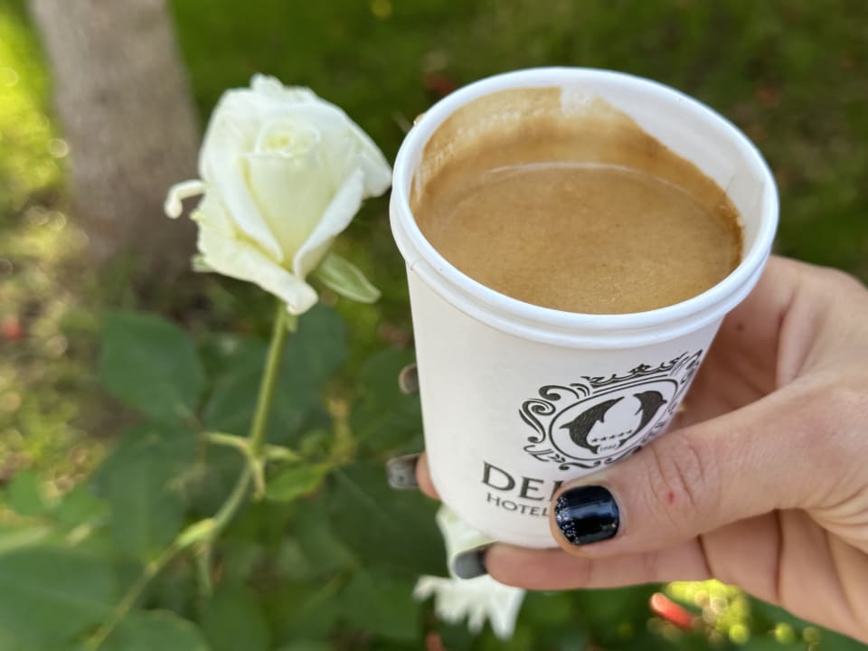 Gastro Hotel Delphin Imperial