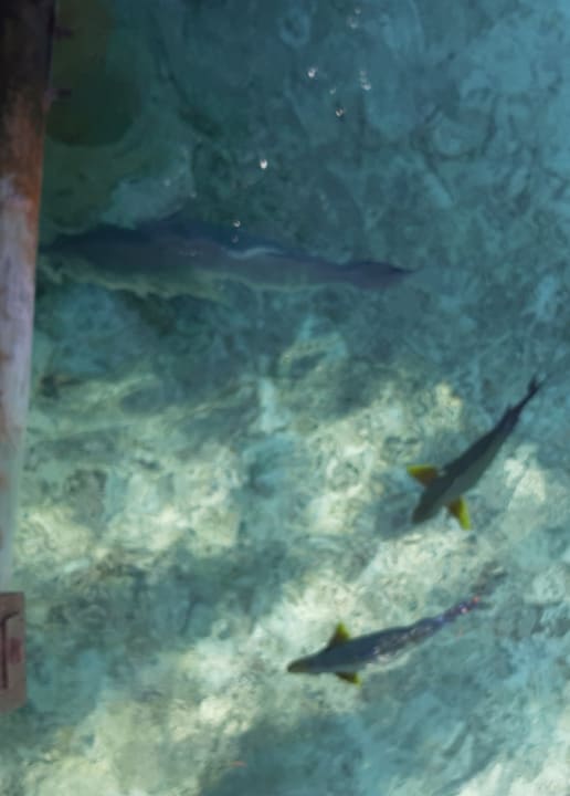 Sport & Freizeit Meeru Maldives Resort Island