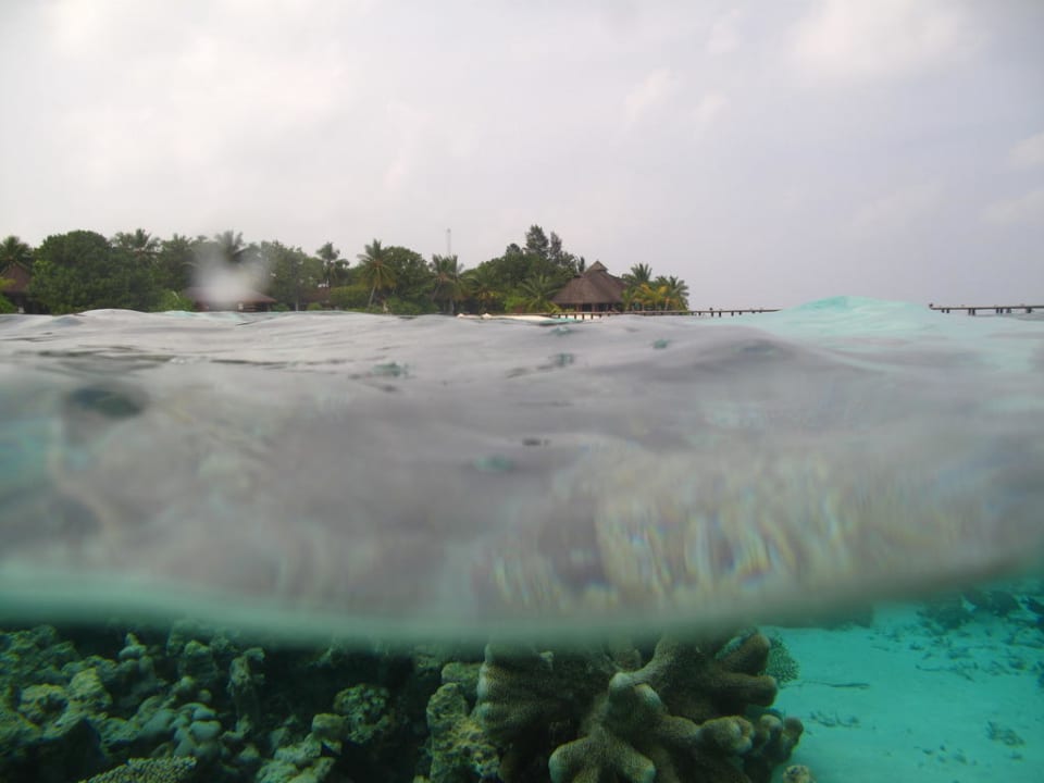 Tolle Unterwasserwelt! Komandoo Island Resort & Spa - Adults only