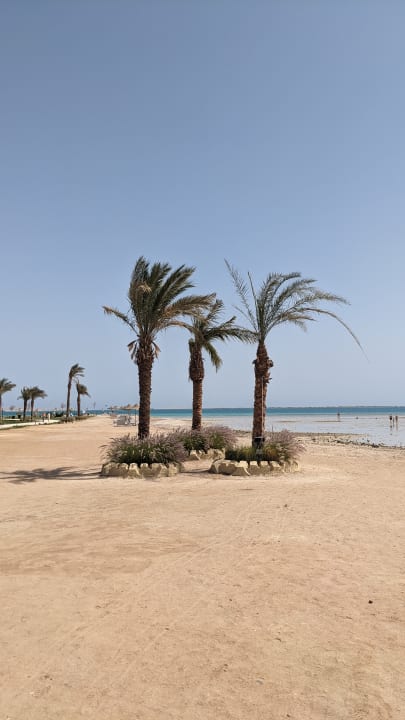 Strand Gravity Hotel & Aqua Park Hurghada