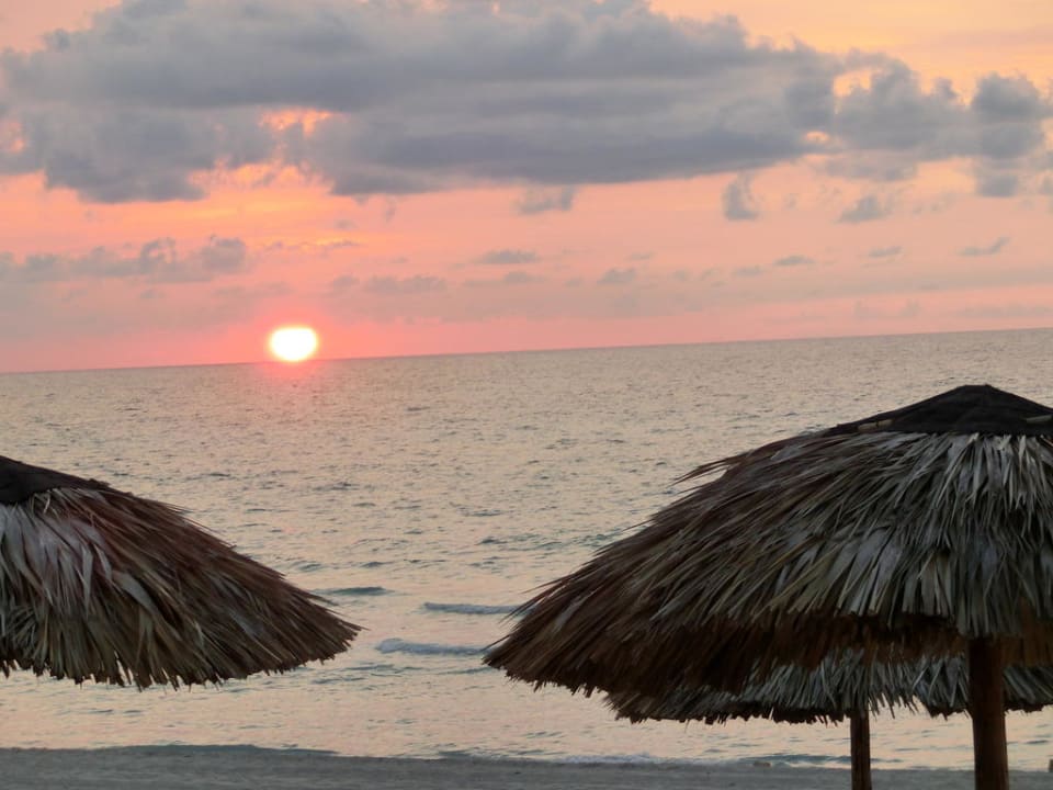 Sonnenuntergang Starfish Cuatro Palmas