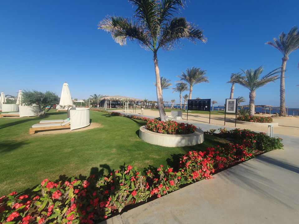 Gartenanlage Steigenberger Resort Alaya Marsa Alam - Red Sea - Adults only