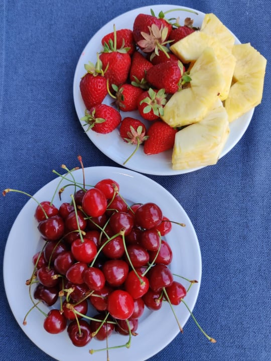 Gastro Sorgun Akadia Luxury 16+