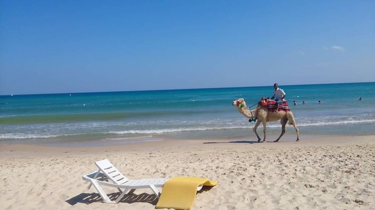 Helmut das Kamel The Orangers Beach Resort and Bungalows