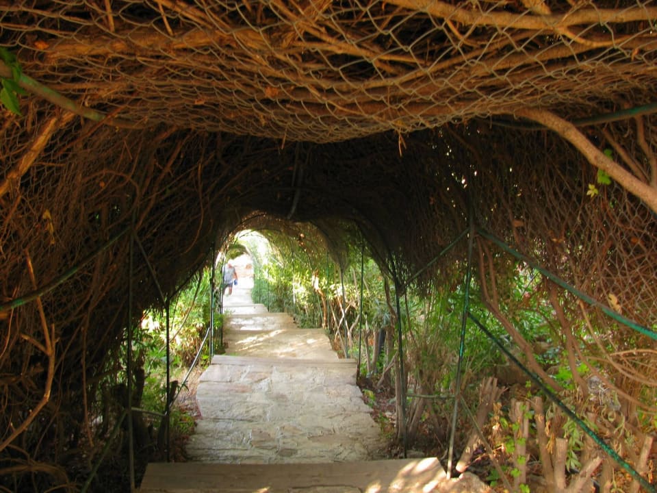 Дорожка к морю Hotel Özkaymak Falez