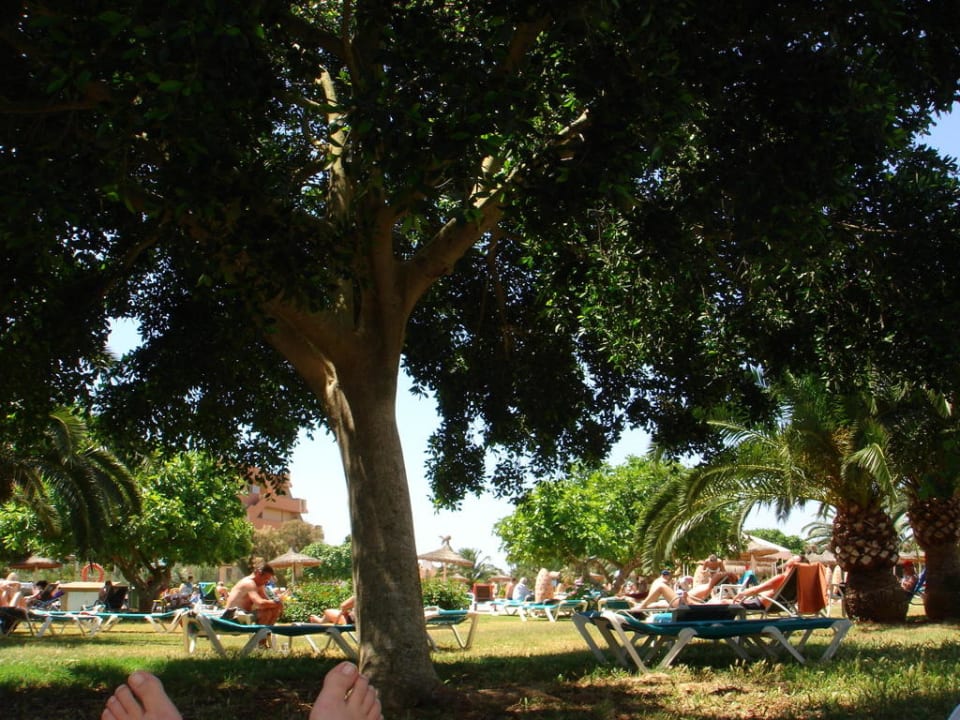 Alles grün wohin man schaut Hotel Mariant Park