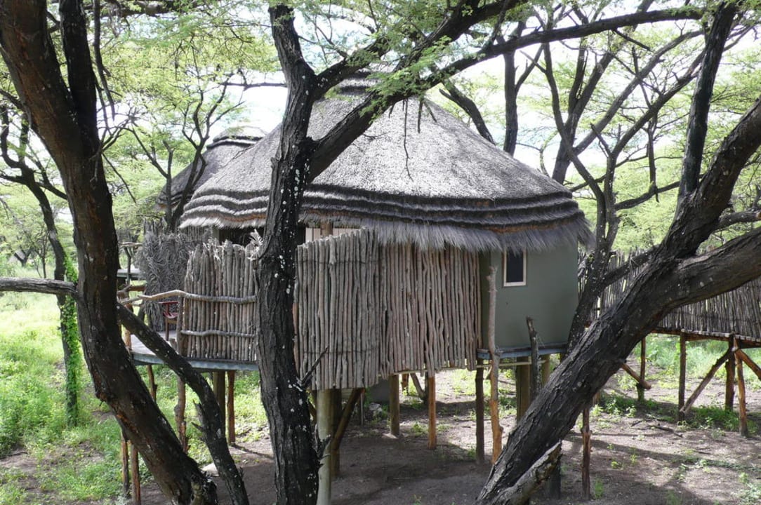 Bungalows auf Stelzen Onguma Tree Top Camp