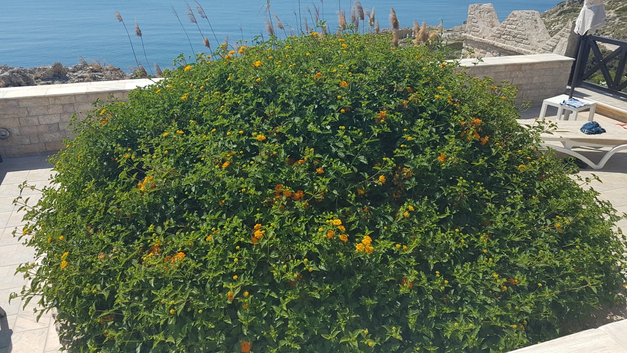 Sonstiges Hotel Kalithea Horizon Royal