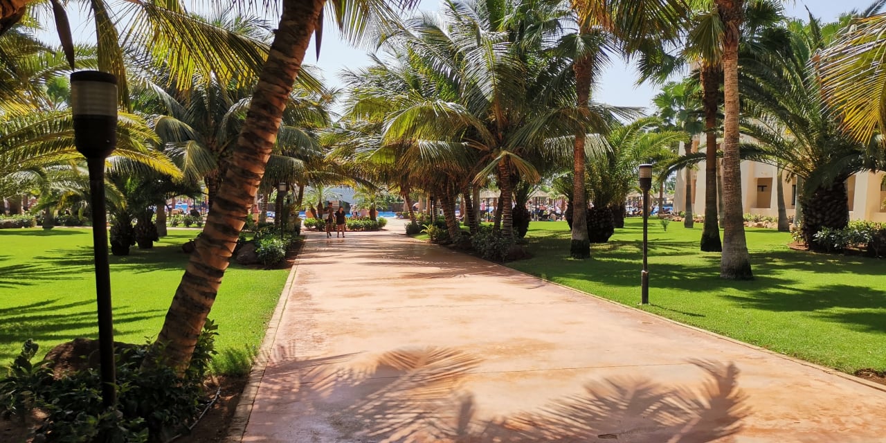 Gartenanlage Hotel Riu Touareg