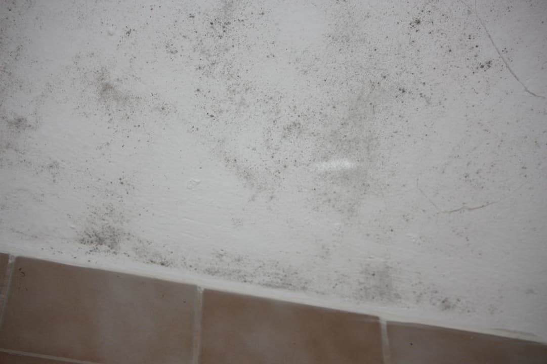 Decke der Duschkabine Sonnenwald Hotel