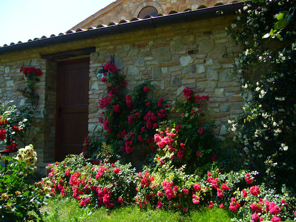 Gartenanlage Country House - Il Biroccio