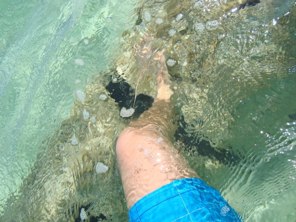 Aubflussrohr Catalonia Punta Cana - All Inclusive