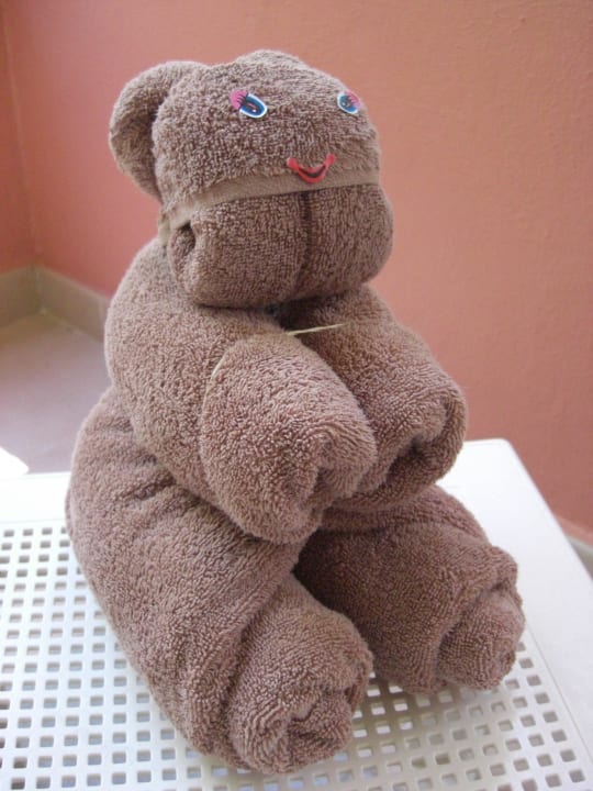 ...jeden Abend gab es ein neues Handtuchtier! Hotel Riu Tequila